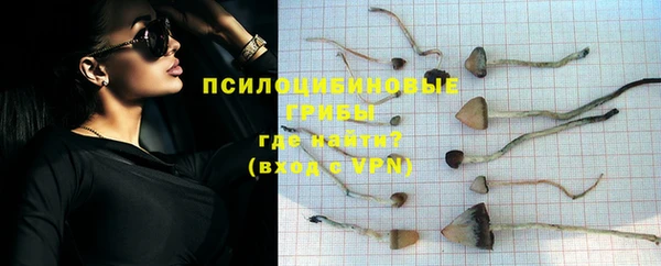 МДПВ Лиски