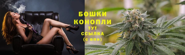 МДПВ Лиски