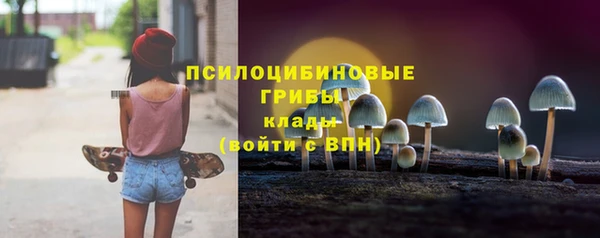 МДПВ Лиски
