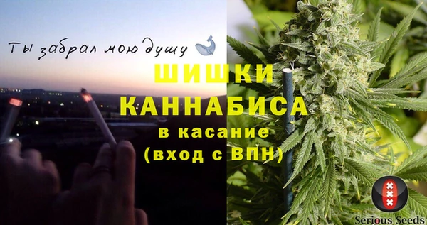 тгк Лагань