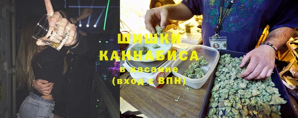 ECSTASY Липки