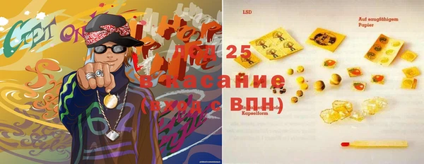 ECSTASY Липки