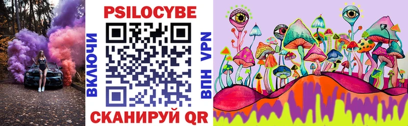Купить закладки  Михайловка  Псилоцибиновые грибы MAGIC MUSHROOMS 